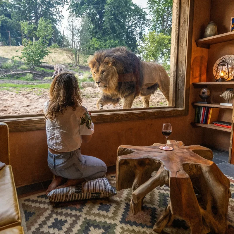 Lion Lodge